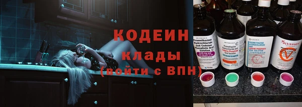 гашик Краснослободск