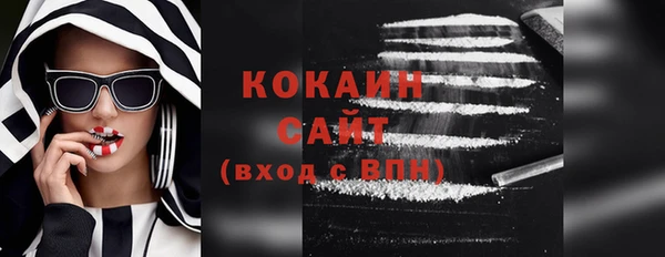 гашик Краснослободск