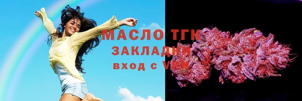 гашик Краснослободск
