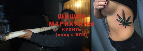 гашик Краснослободск