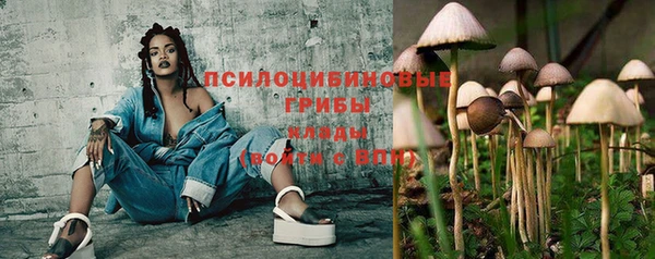 гашик Краснослободск