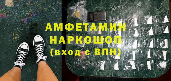 гашик Краснослободск