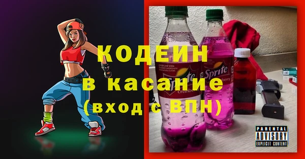 гашик Краснослободск
