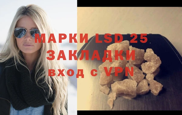 гашик Краснослободск