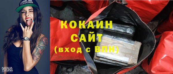 гашик Краснослободск